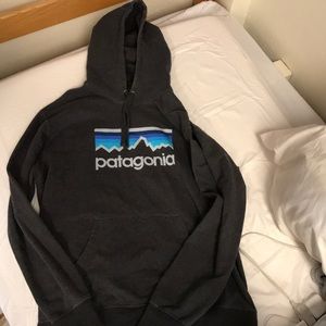 Mens Patagonia full dome hoodie sweatshirt